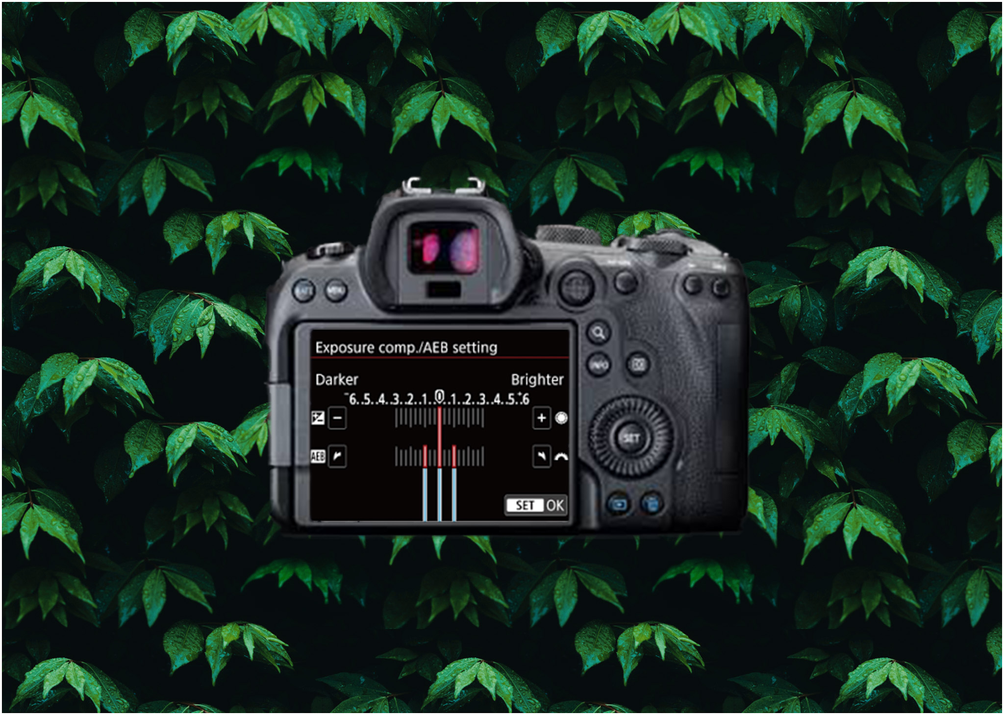 Canon R6 Bracketing Shooting: A Comprehensive Guide