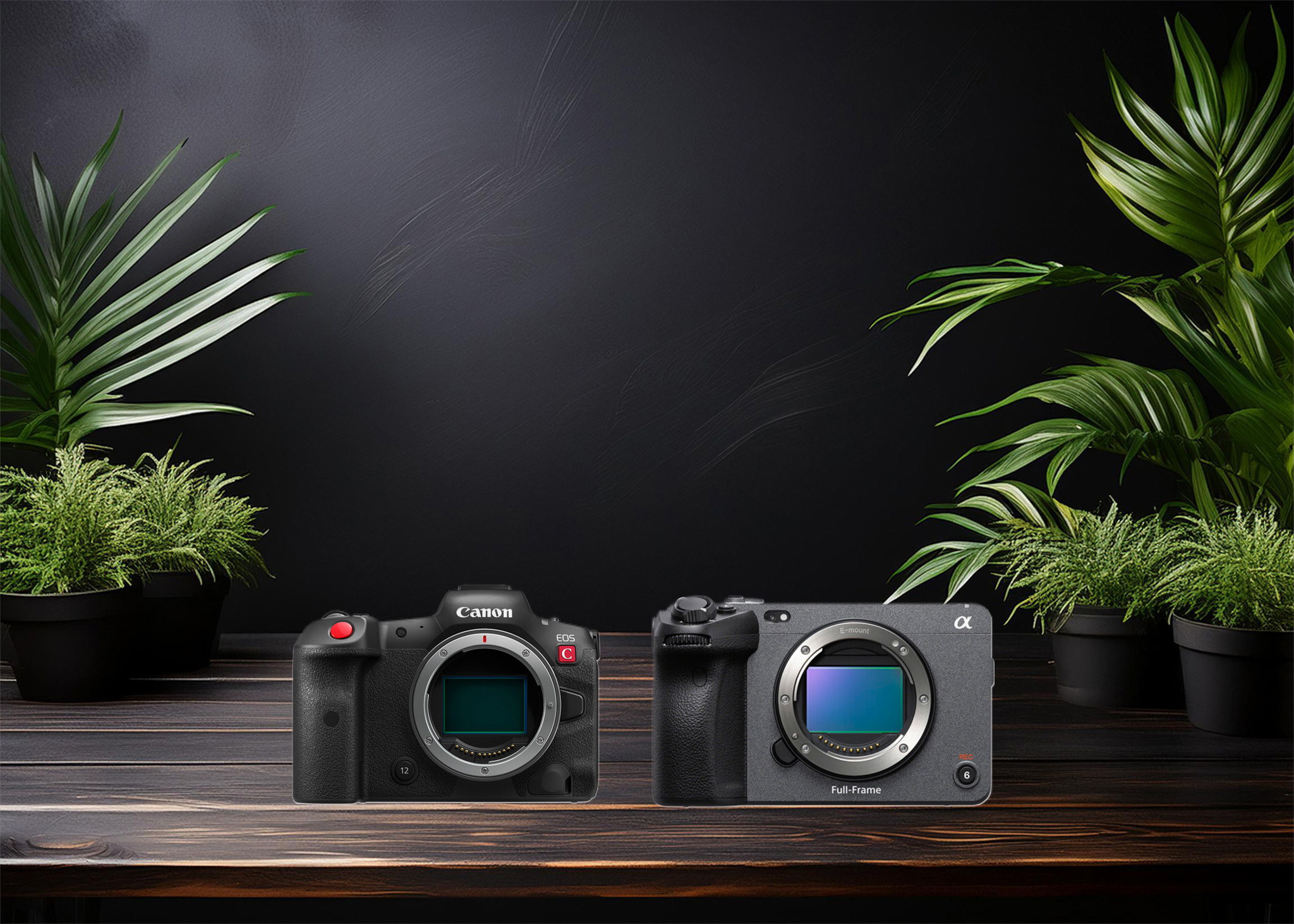 Which camera is better, Canon or Sony?